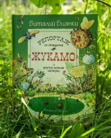 �����������